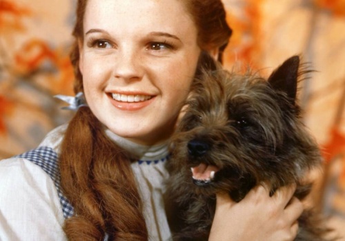 Smutne dzieciństwo Judy Garland. Nazywali ją 