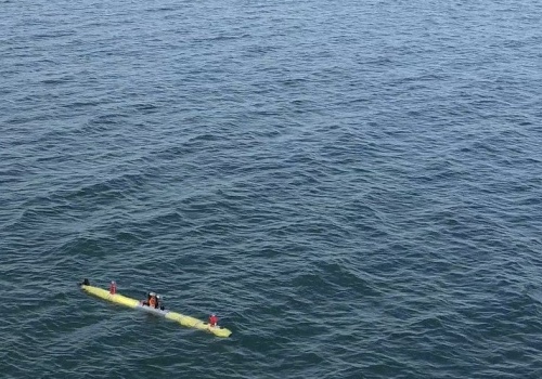 „Ośmiornica” i „bałtycki drapieżnik”. Polskie drony podbijają głębiny