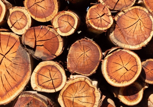 Mężczyźni zatrzymani za kradzież drewna. Dla jednego to dopiero początek kłopotów