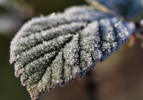 Alert dla większości kraju. Nocą temperatura spadnie nawet do -5°C