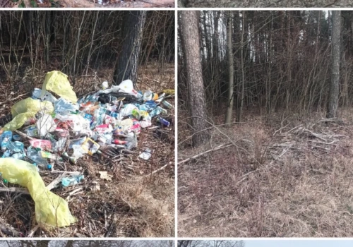 Jaworzno walczy z zaśmiecaniem. Liczne interwencje straży miejskiej