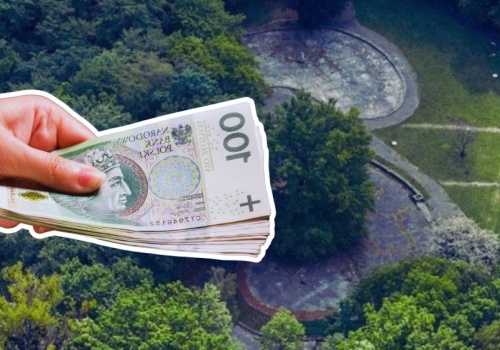 Gliwice biorą się za Las Komunalny. Teren wokół dawnego klubu Bravo czeka metamorfoza