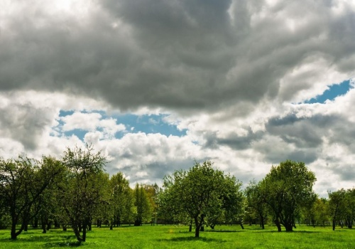Koniec tygodnia za zmienną pogodą. Będzie cieplej, ale z opadami, silnym wiatrem i przymrozkami