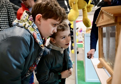 Niedziela pełna atrakcji. Pszczoły, podróże, smaki i pomysły na dom tylko w Targach Kielce