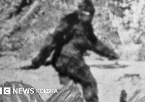 Co ujawniają wywiady ze 160 tropicielami Wielkiej Stopy?