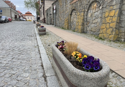 Królewskie miasto całe w bratkach