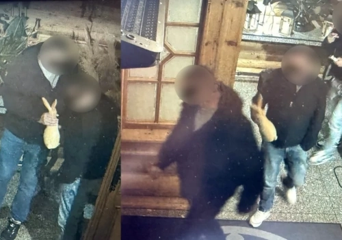 Gang Olsena w Jeleniej Górze. Zawinęli zajączka z restauracji w Cieplicach