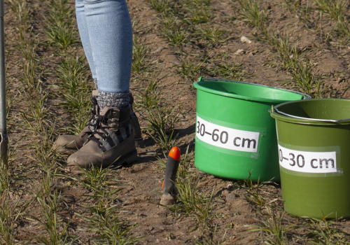 Program azotanowy: kto musi zrobić plan nawożenia azotem na podstawie badań gleby?