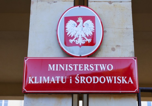 Tak będą kontrolowane produkty powodujące wylesianie. Jest projekt ustawy