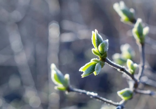 W nocy na minusie. IMGW ostrzega aż 10 województw