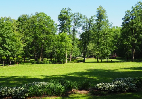 Willa Langera odzyska blask. Jaworze rusza z rewitalizacją zabytku