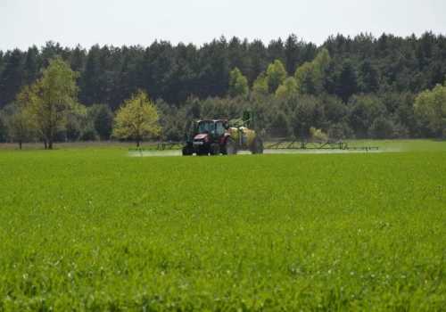 Kursy ochrony roślin w 2026 roku: online czy stacjonarnie? Jaki jest koszt?