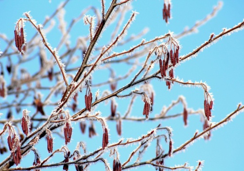 Zima przypomina o sobie w kwietniu. Nawet -6°C przy gruncie na Podkarpaciu