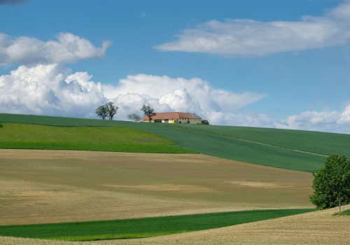 Córka barona sprzedała miliarderowi 3650 hektarów. Rodowe latyfindia poszły za 27 mln euro