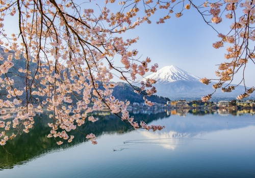 Budząca się potęga pod dnem oceanu. Gigantyczna kaldera Kikai znów wypełnia się magmą