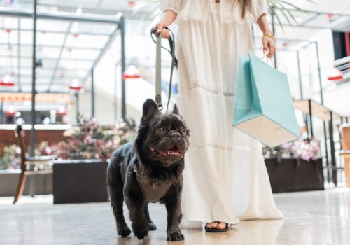 Posnania stawia na pełen komfort wizyt z czworonogami