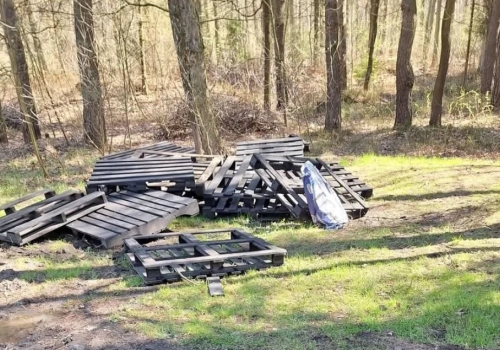 Zamiast pierwiosnków wszędzie śmieci