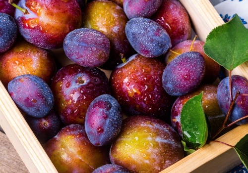 Koniec z robaczywymi śliwkami. W tym roku owoce będą jak marzenie i to bez oprysków