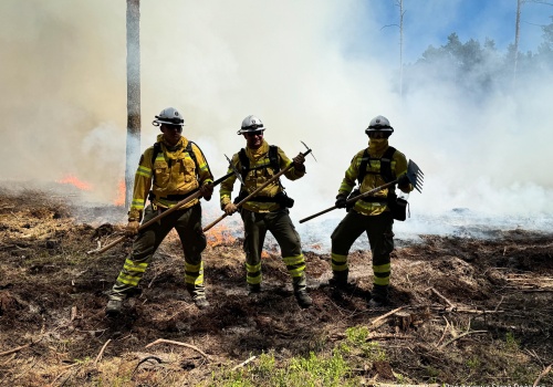 Nowe moduły GFFF wkrótce w gotowości
