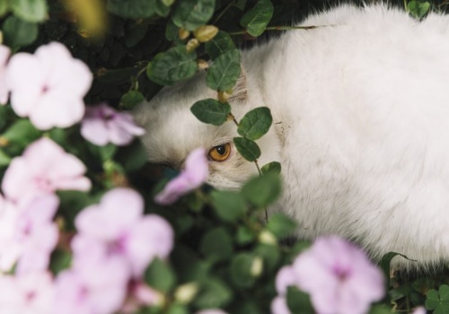 Pogoda na poniedziałek | W dzień coraz cieplej, w nocy niewykluczony mróz