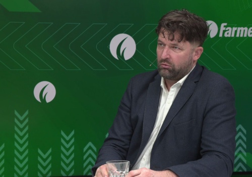 Wilki wróciły. Teraz rolnicy pytają: kto zapłaci za straty?