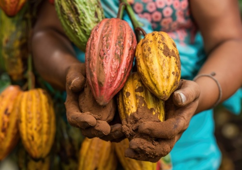 Czekolada tania już była. Problem zaczyna się dużo wcześniej niż w sklepie