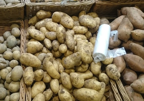 Tani prąd z ziemniaków. Idealny patent dla polskich rolników