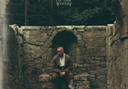 THE WEIGHT OF THE WOODS
