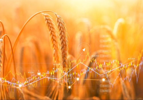 Echem kryzysu paliwowego może być kryzys żywnościowy. Czeka nas spożywcza inflacja?