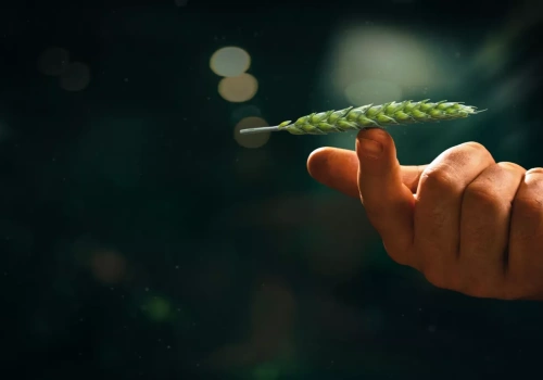 DAXUR® idealnie wyważone KORZYŚCI