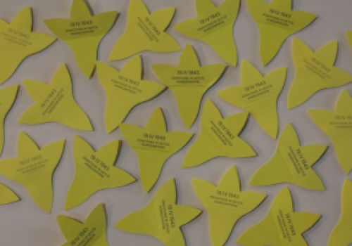 W niedzielę zostanie wręczony trzymilionowy kwiat w historii akcji Żonkile