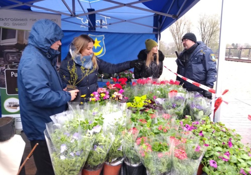 Masz elektroodpady? Wymień je na sadzonki!