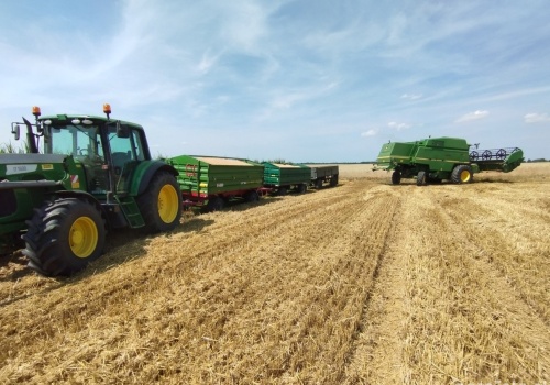 Ceny zbóż paszowych 2026. Różnice sięgają nawet 180 zł na tonie