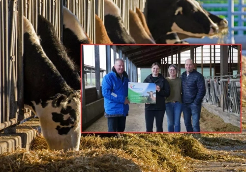 Rolnik zmienił mleczarnię. 