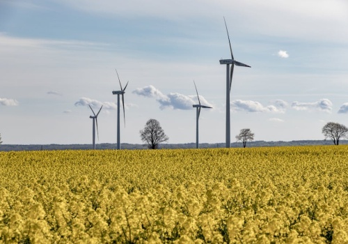 Nawet 6 mld zł znika z rynku OZE. Problemem nie jest technologia, tylko biurokracja