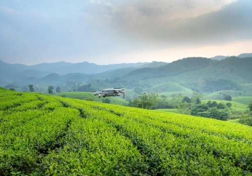 Polscy rolnicy - wizjonerzy sądzą technologię. Plony to nagroda od Huawei