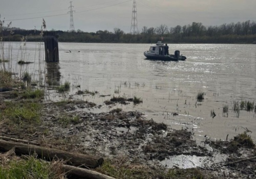 Zwłoki w stanie znacznego rozkładu wyłowione z Wisły na Białołęce. Na miejscu pracują służby