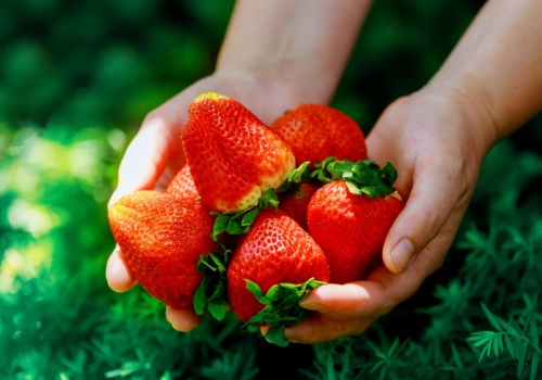 Wiosną podlewaj tym truskawki. Będą wielkie, soczyste i słodkie