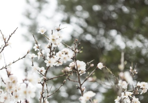Wiosenny wtorek w Łódzkiem. Może padać deszcz