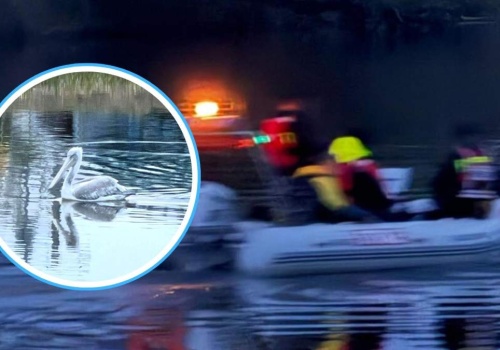 Uciekł recydywista z wielkim dziobem. Złapali go strażacy