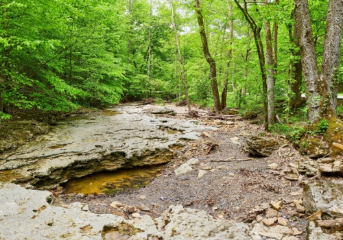 Śnieżna zima nie zatrzymała suszy. Dyskusja o zasobach wodnych na EEC 2026