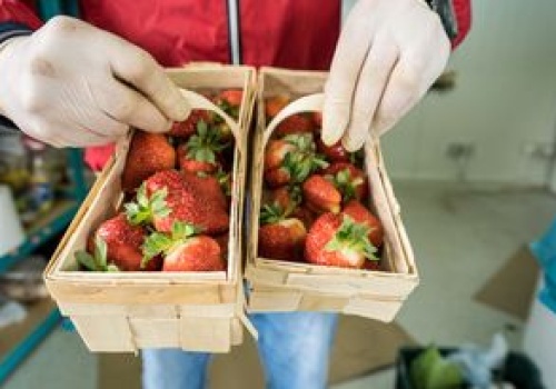 Polskie truskawki już w sprzedaży. Oto ich ceny