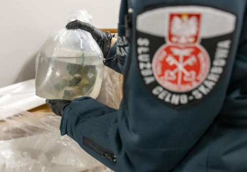 Próba przemytu ponad 1000 szt. koralowców z Indonezji udaremniona