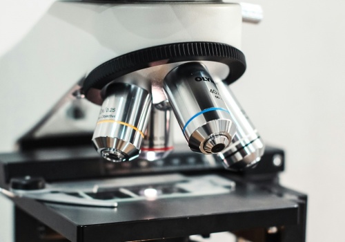 Mikroalgi wspomogą przetwarzanie odpadów? Pomysł studentki z Krakowa!