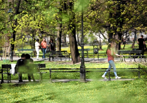 Wtorek z wiosną tylko dla wybranych. W tym regionie termometry wskażą 18 stopni