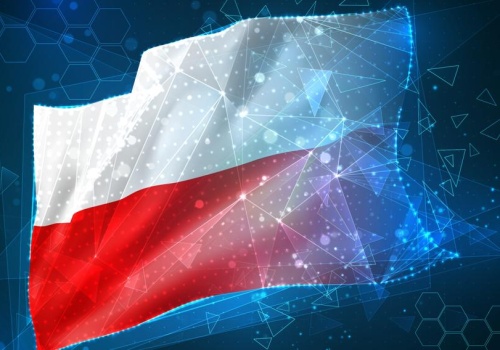 Polskie mikrofirmy stawiają na cyfryzację. Ale w trudniejszych sprawach oczekują wsparcia doradcy