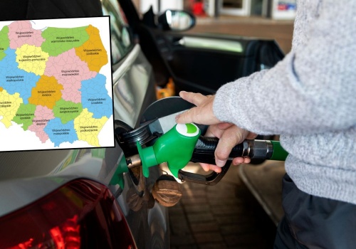 Wielkie różnice na stacjach. W tym województwie jest najtaniej