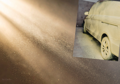 Żółty pył nad Polską! Zobacz, co się dzieje