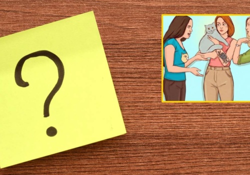 Która kobieta jest właścicielką kota? Obrazkowy test na inteligencję