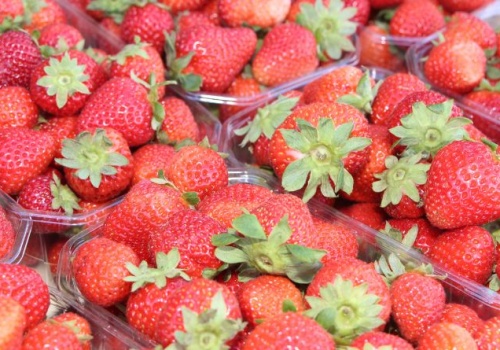 Klapton 33 WG — nie tylko fungicyd dla producentów owoców i warzyw